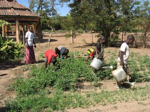 Weiterentwicklung in grossen Schritten